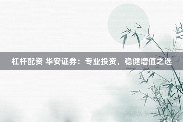 杠杆配资 华安证券:专业投资,稳健增值之选