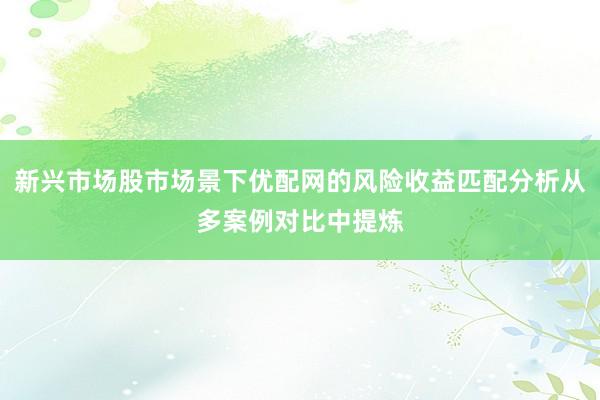新兴市场股市场景下优配网的风险收益匹配分析从多案例对比中提炼