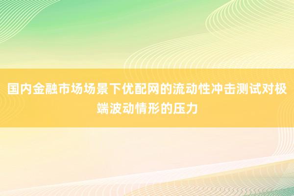 国内金融市场场景下优配网的流动性冲击测试对极端波动情形的压力