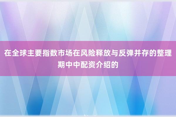 在全球主要指数市场在风险释放与反弹并存的整理期中中配资介绍的