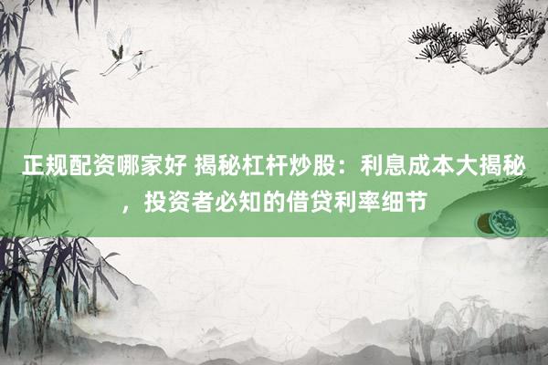 正规配资哪家好 揭秘杠杆炒股:利息成本大揭秘,投资者必知的借贷利率细节