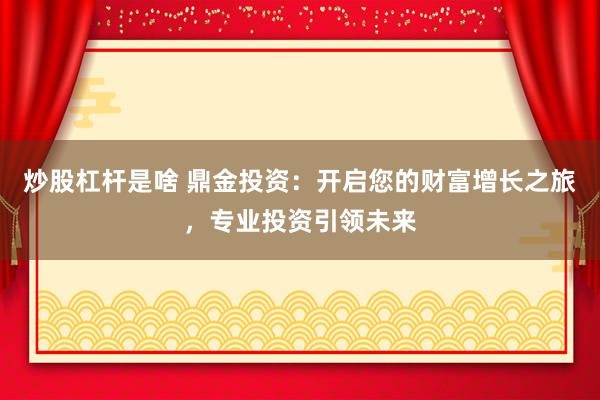 炒股杠杆是啥 鼎金投资：开启您的财富增长之旅，专业投资引领未来